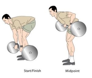 Bent over Barbell Rows